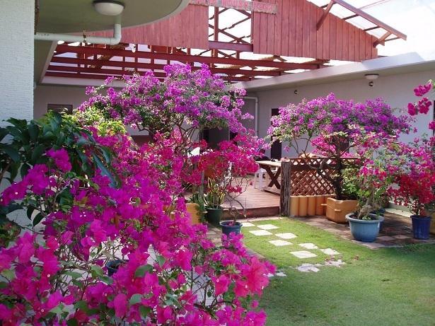 Patio House Reef Hotel Zamami Buitenkant foto